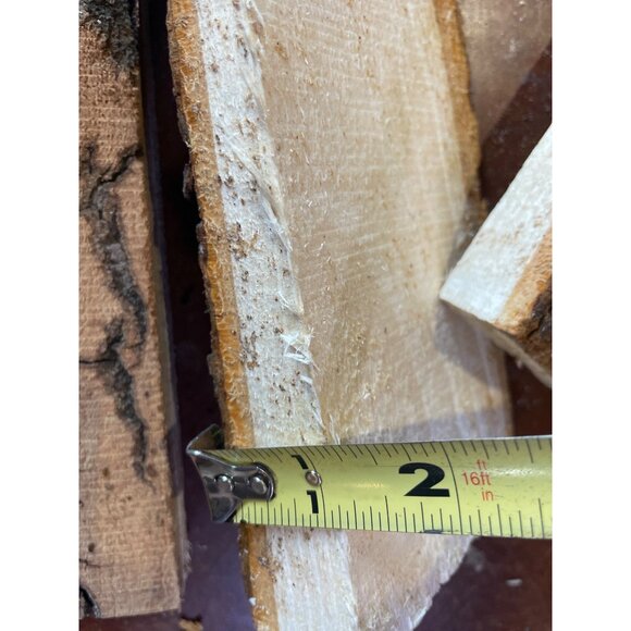 Basswood Rustic Bark Edge Wood Slabs For Crafts & DIY Projects - Picture 6 of 11
